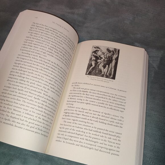 Book Michelangelo and the Pope's Ceiling Ross King New York Times Bestseller - Picture 12 of 16